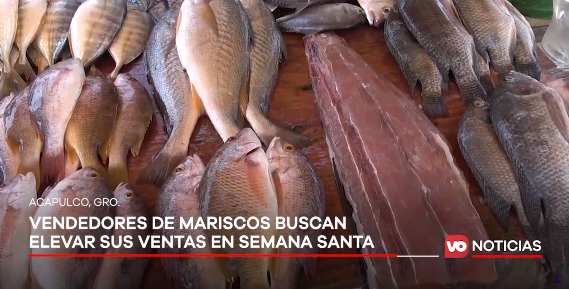VIDEO: Vendedores de mariscos esperan elevar sus ventas durante semana santa