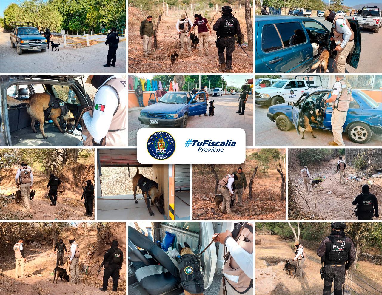 FGE participa en operativo de seguridad con binomios caninos en Iguala.