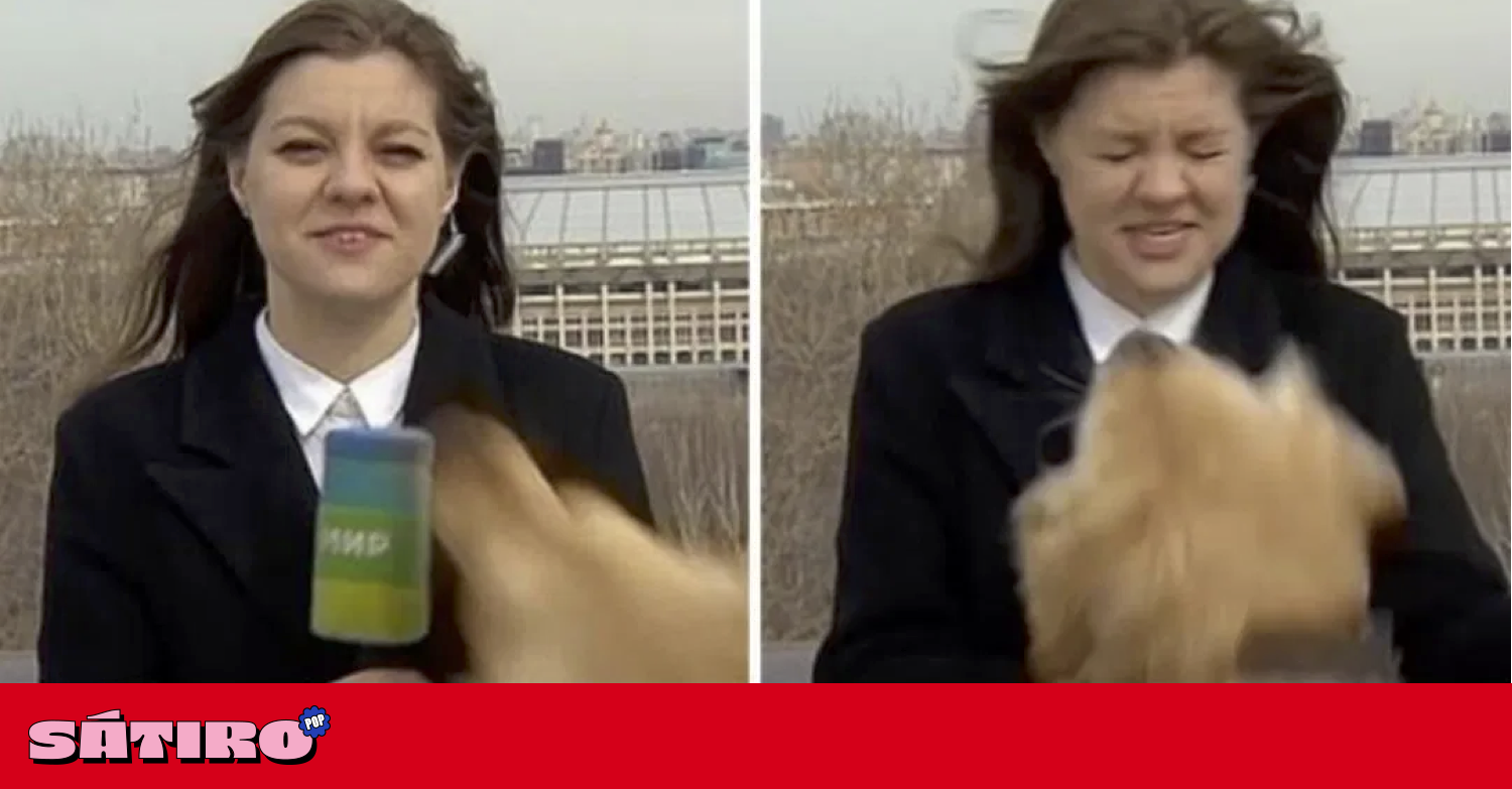 Perrito le roba en vivo el micrófono a una reportera