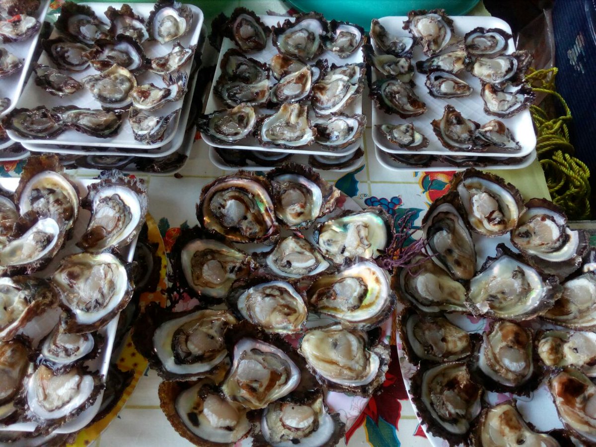 No hay veda de moluscos bivalvos y playas de Guerrero son aptas para uso humano: SSA