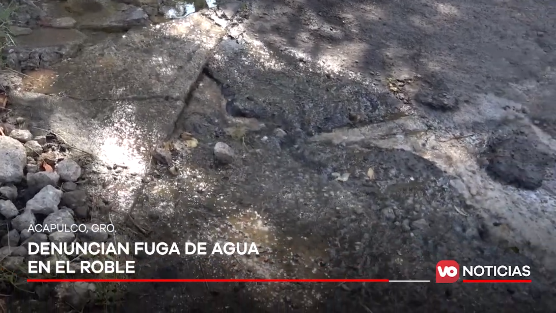 VIDEO: Miles de litros de agua se desperdician desde hace un año el Roble