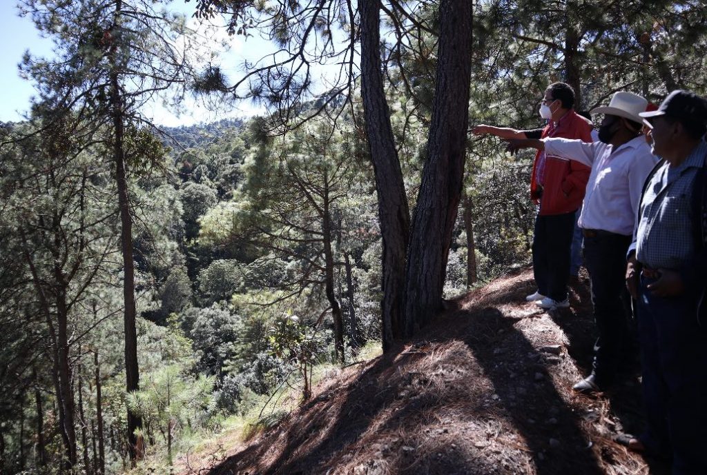 VIDEO: Preocupa a CDNH violencia contra habitantes y ambientalistas de Tierra Caliente