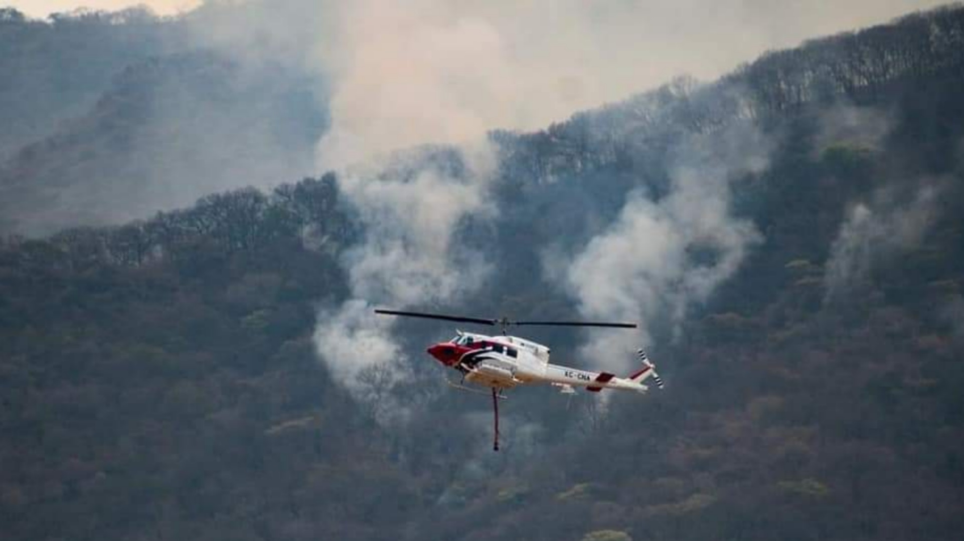Sofocan incendio forestal en Buenavista de Cuéllar