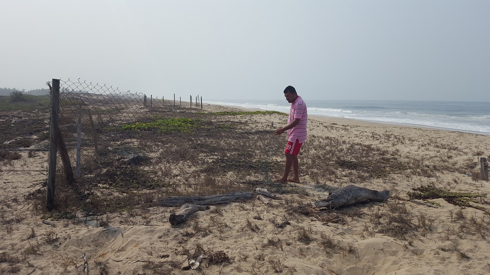 Reconstruyen campamento tortuguero en playa de Tecpan