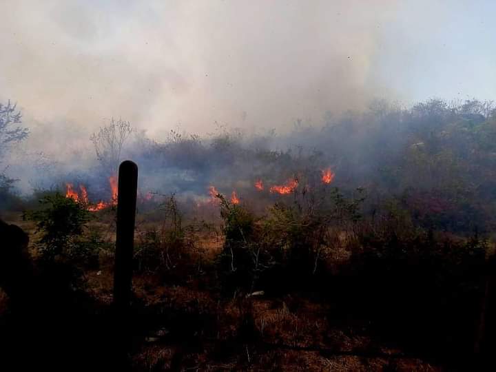 Incendio cerca del basurero municipal en Atoyac