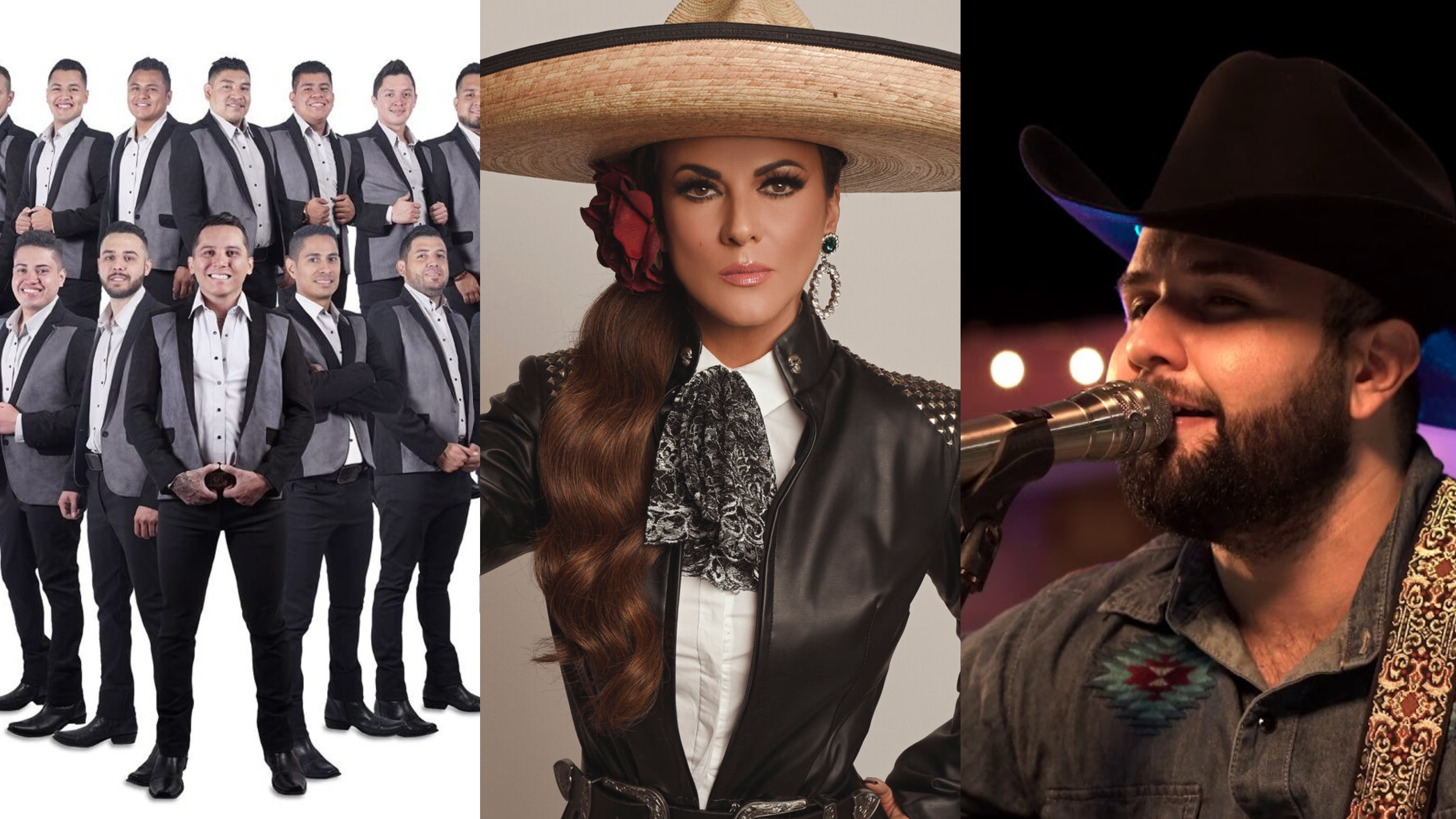 Grandes artistas se presentarán en la Expo Feria del Café Atoyac 2022