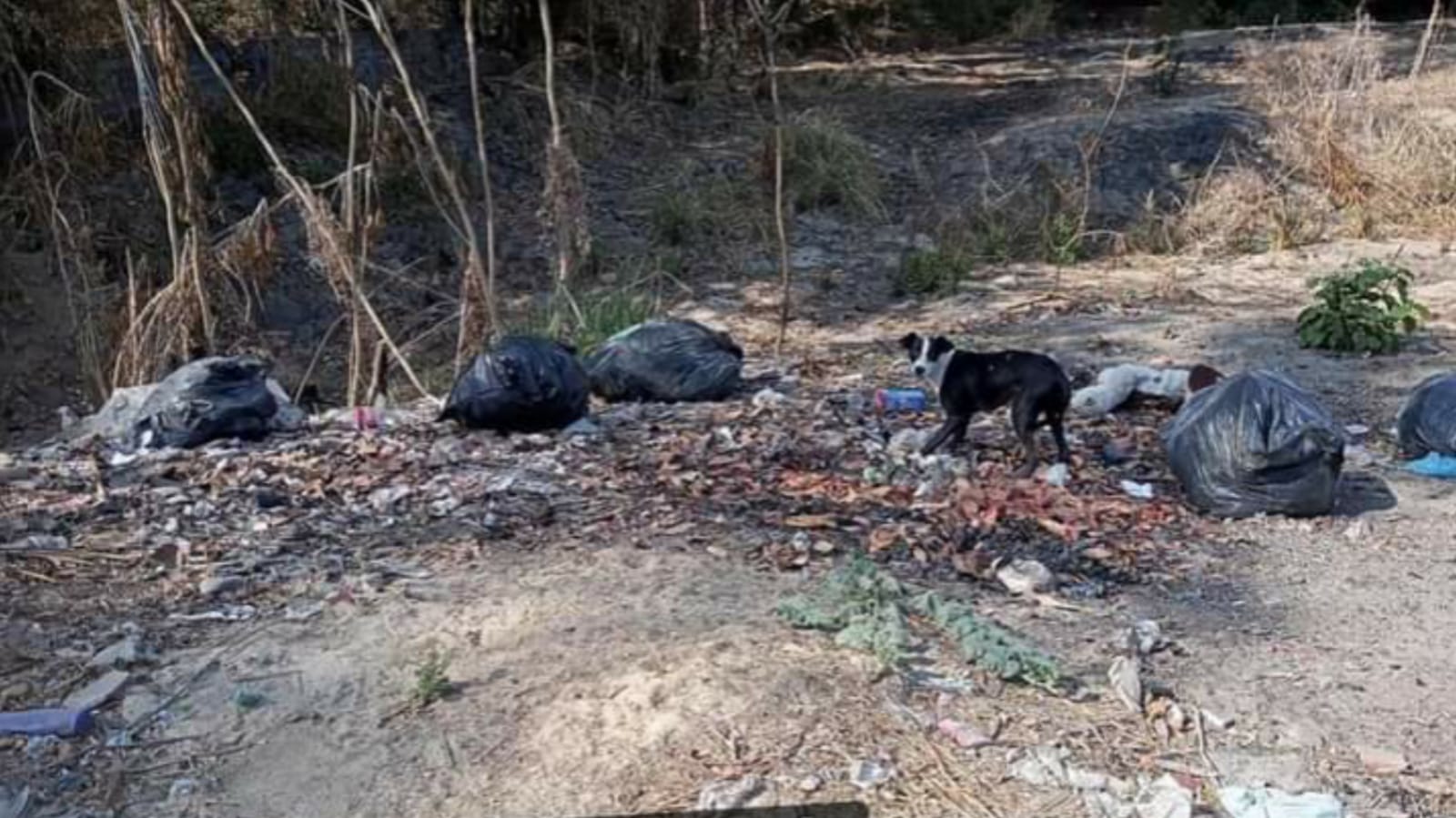 Reportan basurero clandestino en la colonia Centro de Atoyac