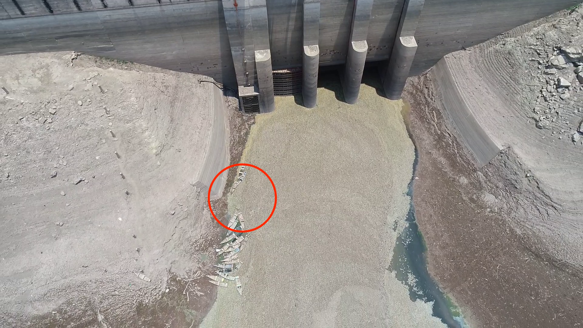 Ecocidio en Ajuchitlán del Progreso, Guerrero