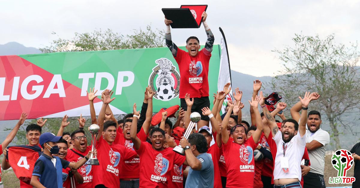 Avispones de Chilpancingo llegan a Segunda División