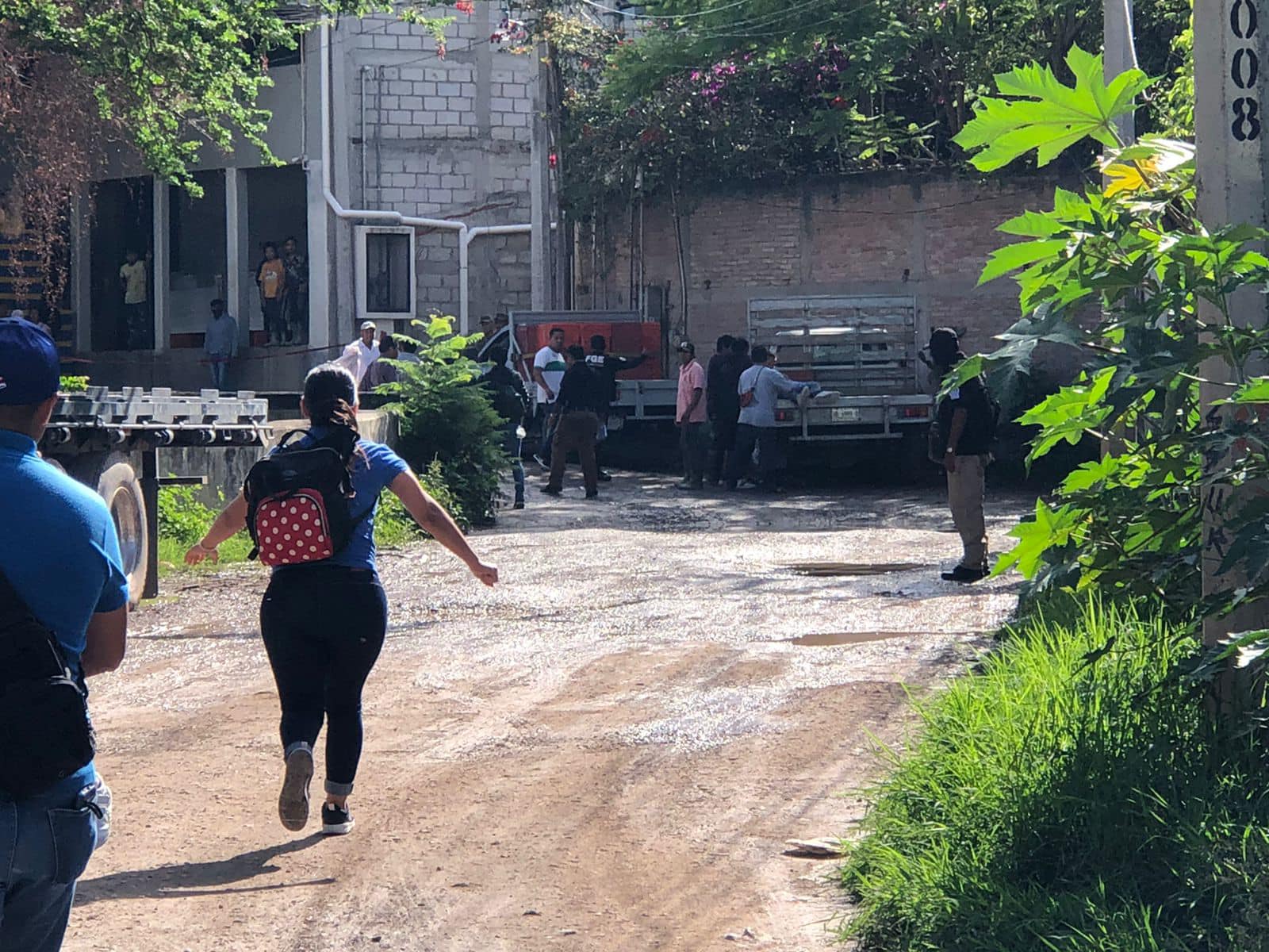 Ataque a granja de pollos en Chilpancingo deja a 6 muertos, entre ellos una menor