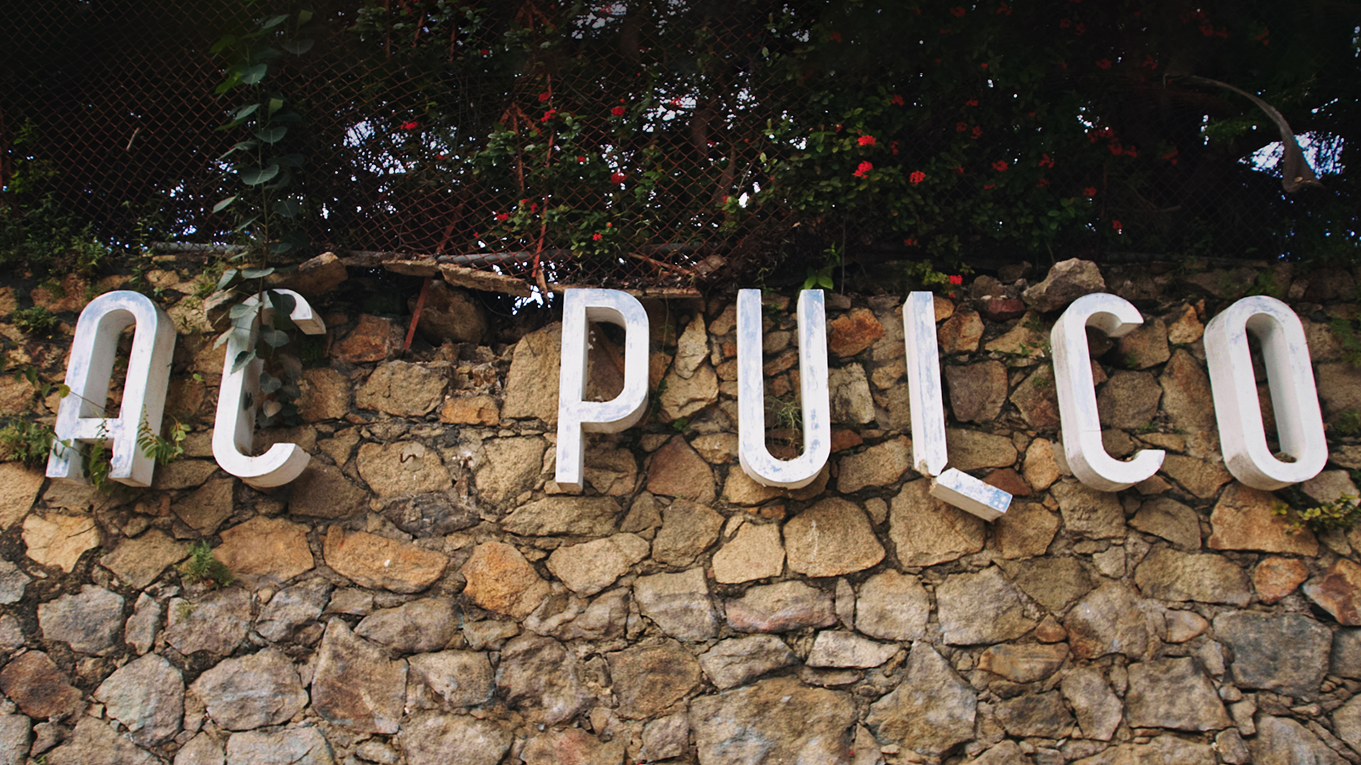 «The Anarchists», la nueva serie de HBO Max sobre anarcocapitalistas en Acapulco