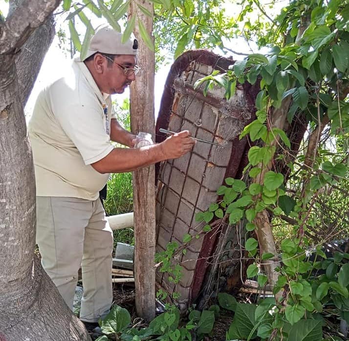 SS Guerrero se suma a la Jornada Nacional de Prevención de las Rickettsiosis
