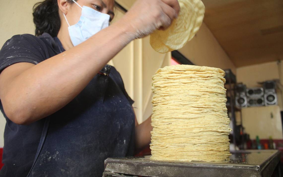 Incremento de la harina y el gas provocarán alza del precio de la tortilla en México