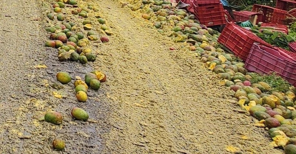 Vuelca camión que transportaba mangos en carretera federal en Coyuca de Benítez