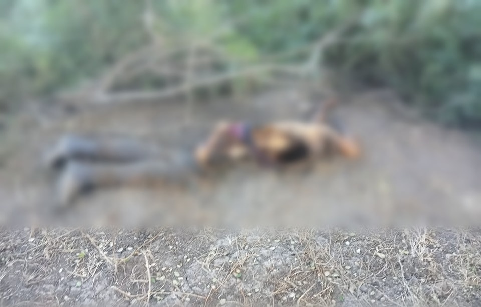 Hallan un cadáver en la localidad de Mazatlán, en Chilpancingo