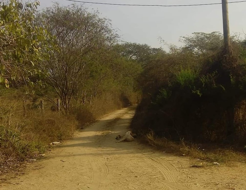 Hallan a un hombre asesinado a balazos en el municipio de Cuautepec, en la Costa Chica