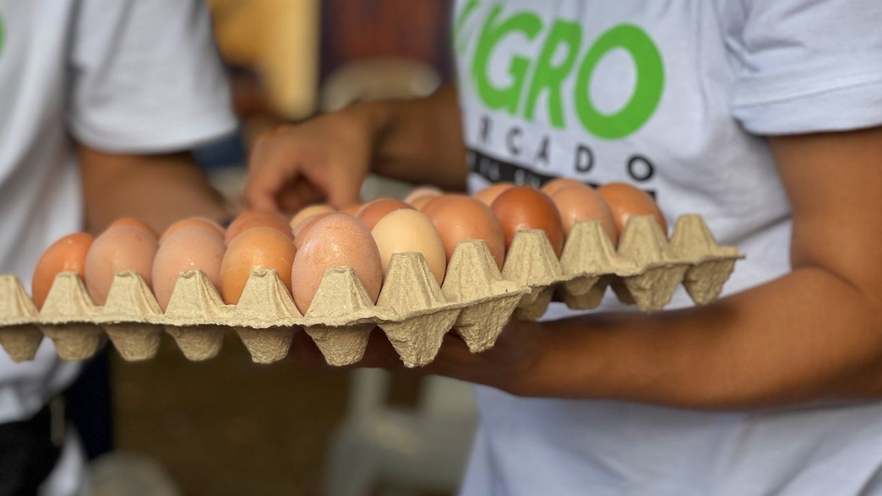 El huevo se dispara: se llega a vender hasta en 100 pesos en tiendas de México