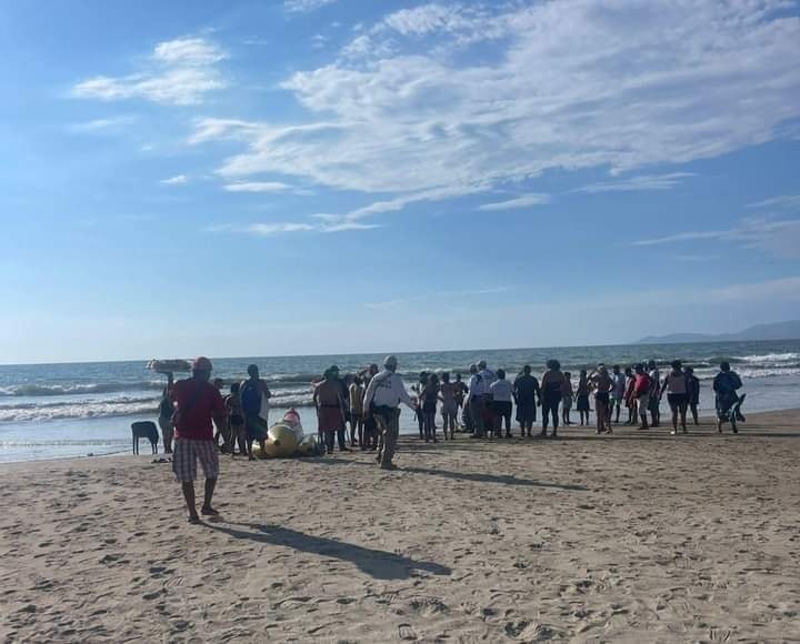 Hallan a turista de Querétaro que desapareció al ser arrastrado por las olas en playa Linda en Zihuatanejo