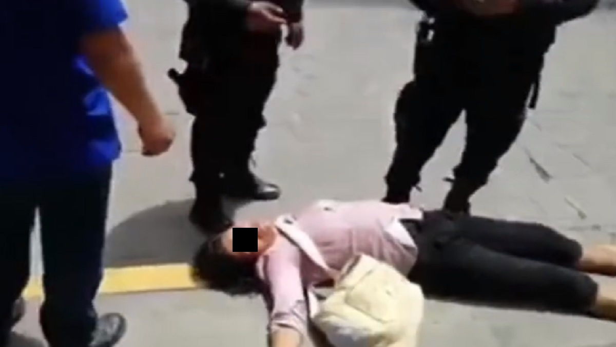 Lady Tlacuache: roba y finge desmayo para evitar el castigo