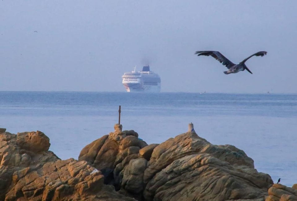Culmina la temporada de cruceros 2022-2023 en Guerrero, llegaron 22 navíos con más de 70 mil pasajeros y tripulantes
