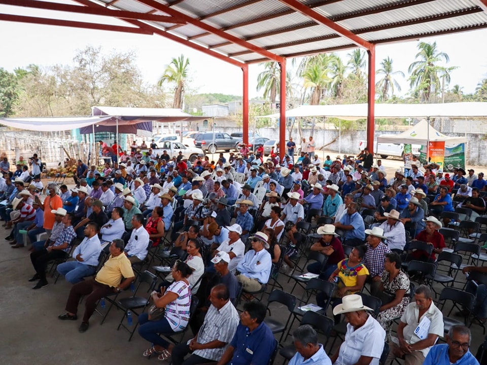 Capacitará SEGADEGRO a ganaderos para mejoramiento genético de ejemplares en Guerrero