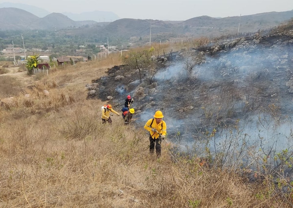 Lidera Guerrero en superficie afectada por incendios forestales en México