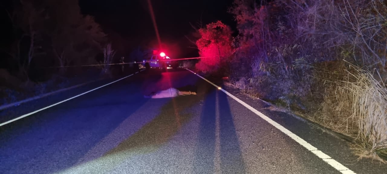 El hecho se reportó alrededor de las 04:42 de la madrugada de este viernes, en la carretera federal Zihuatanejo - Lázaro Cárdenas