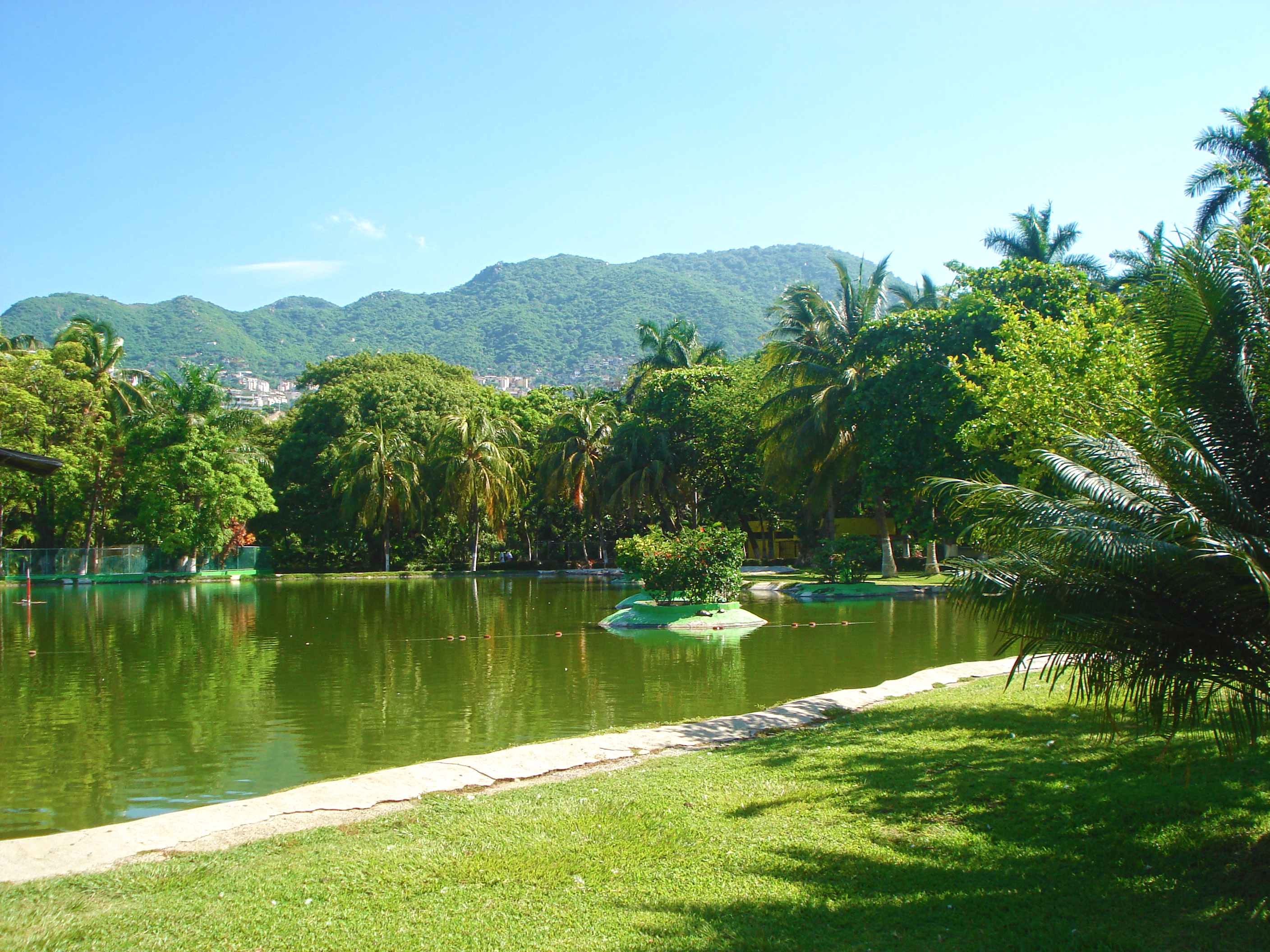 Rescatan animalitos bebés en el Parque Papagayo, en Acapulco