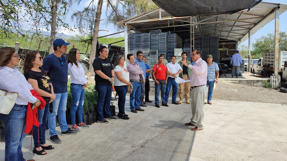 Gobierno de Guerrero inicia donación de 300 mil árboles para reforestación