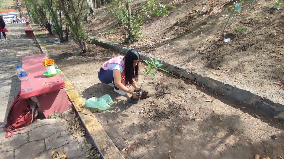 Gobierno de Guerrero celebra el Día del Árbol con siembra de 300 unidades