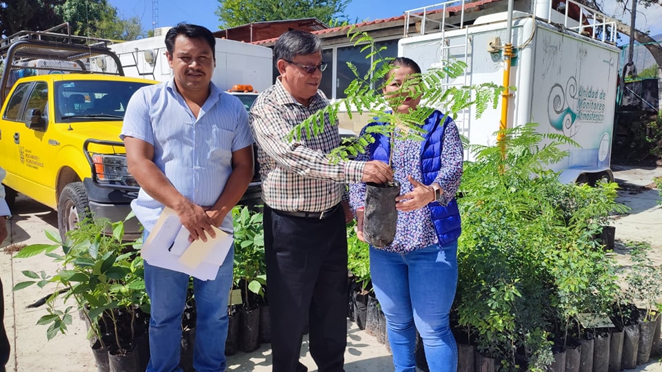 SEMAREN entrega 4 mil 500 árboles a organizaciones y autoridades para reforestar y controlar el cambio climático