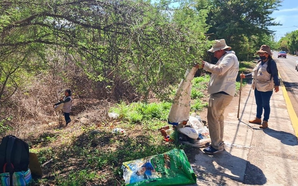 Llama Salud Guerrero a continuar con las medidas de prevención para evitar el mosco transmisor del Dengue