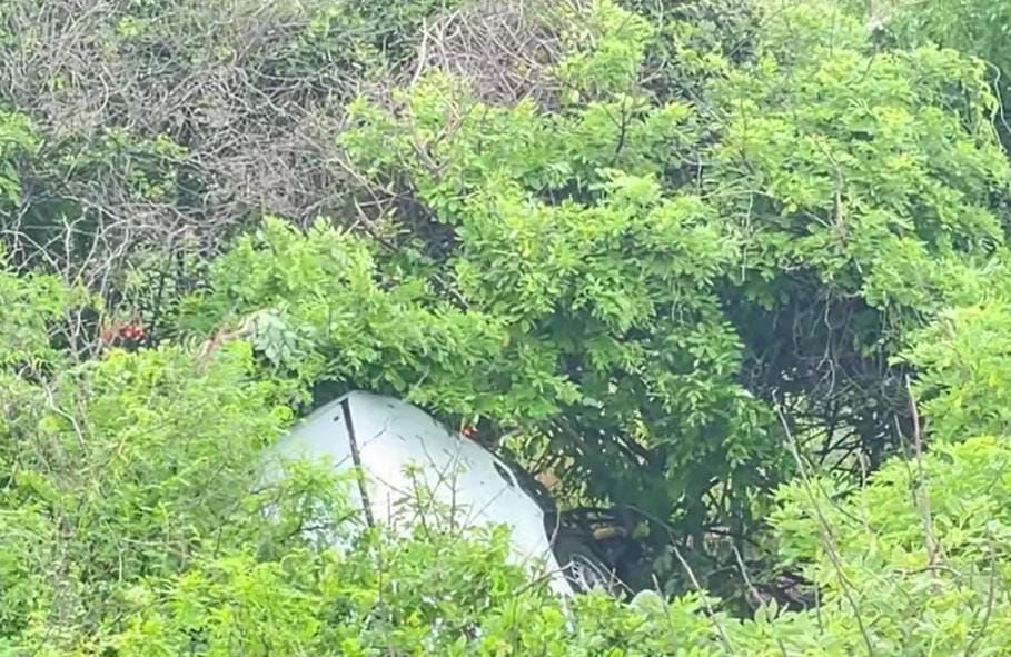 Vuelca Camioneta de Alimento para Mascotas en el Kilómetro 152 de Técpan