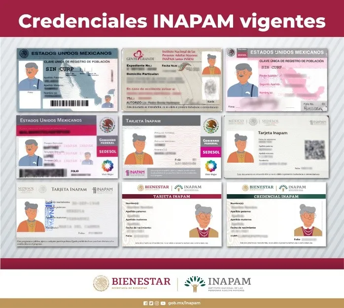 Renovar la Tarjeta INAPAM ya no es Necesario