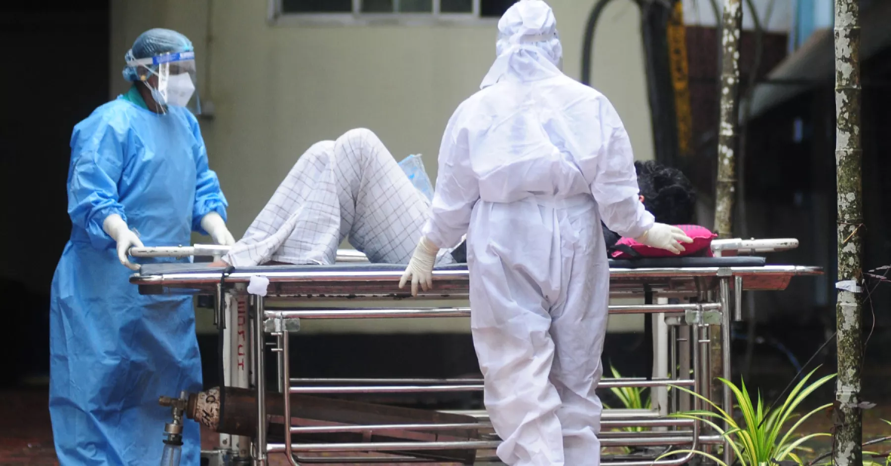 Virus Nipah en India alerta por su rápida propagación; temen que regrese una nueva pandemia