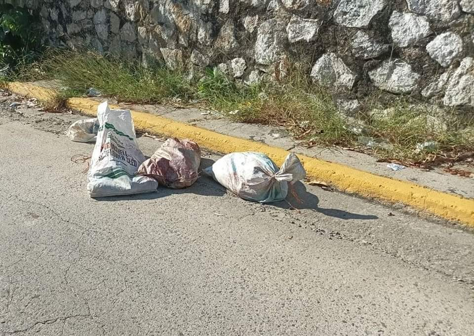 Restos humanos abandonados en glorieta de Aguas Blancas en Acapulco