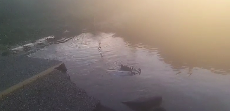 Rescatan a dos personas en el puente colapsado del Cuajilote