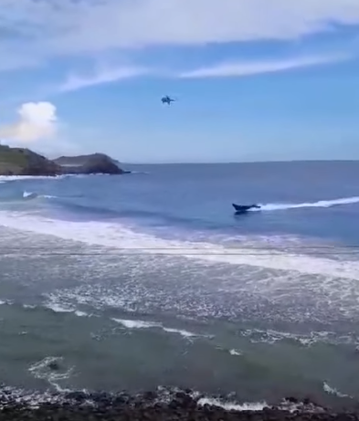 Persecución de la Marina a embarcación frente a playa Escondida en Puerto Vicente sorprende a pobladores y turistas