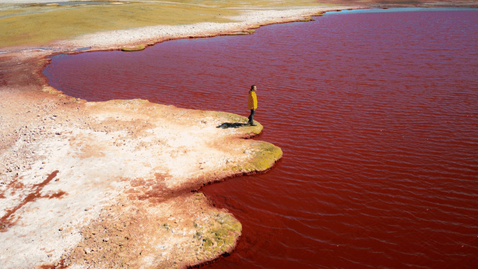 El río Nilo se tiñe de color rojo y causa temor en las redes sociales