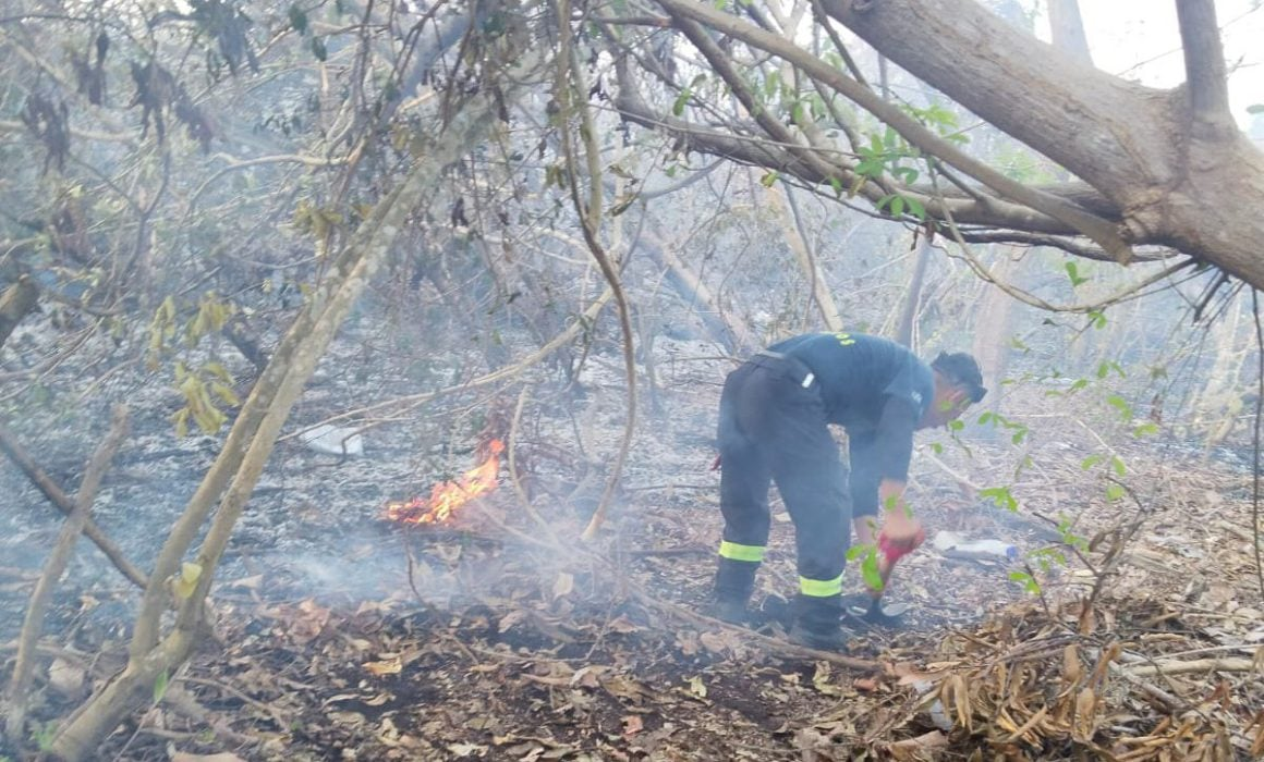 Alerta por riesgo de incendios en Acapulco y Coyuca de Benítez tras huracán Otis