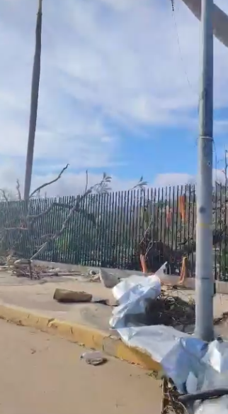 Ciudadanos de Acapulco se unen para recuperar la cubierta vegetal después de Otis