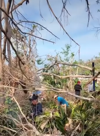 Huracán Otis Derriba el 70% de los Árboles Adultos en el Jardín Botánico