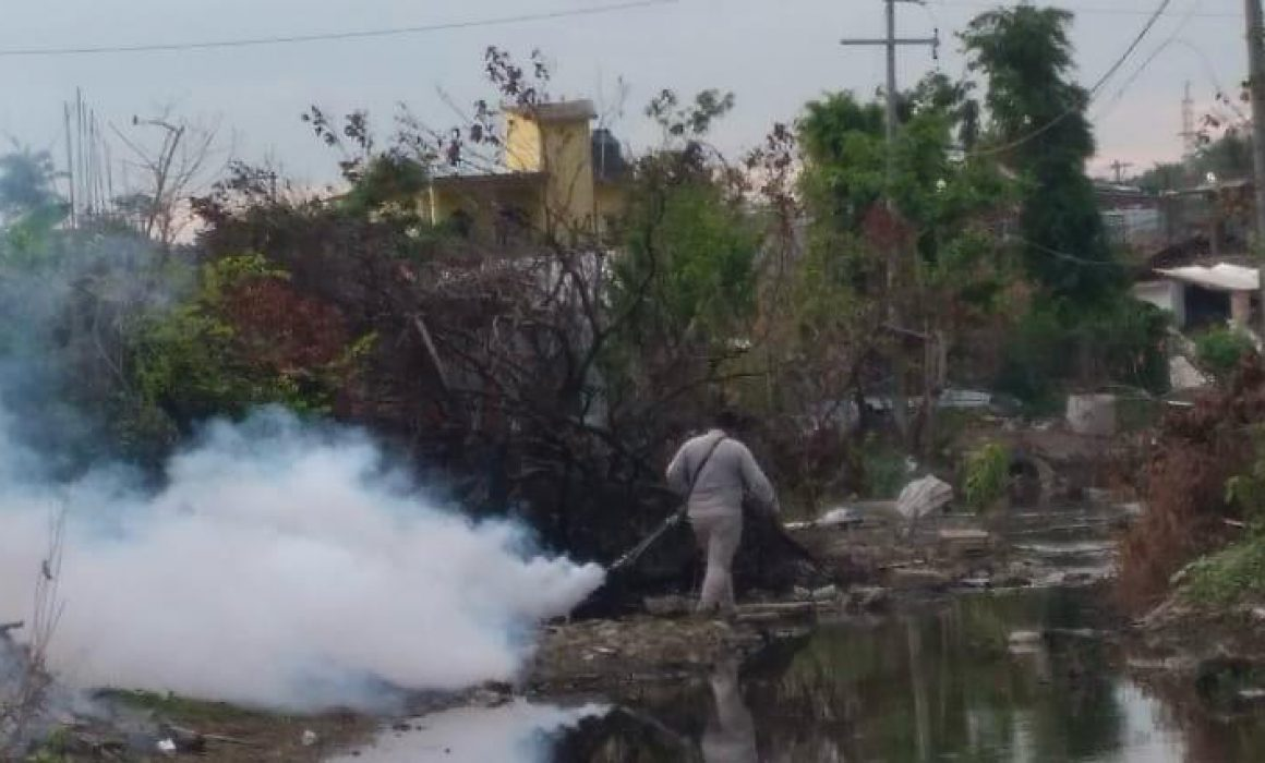 Continúan acciones de control de mosquitos en Acapulco y Coyuca de Benítez