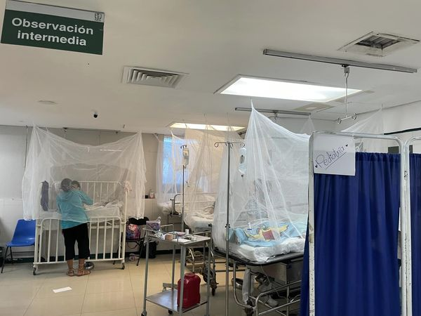 Aumentan Casos de Dengue en Acapulco