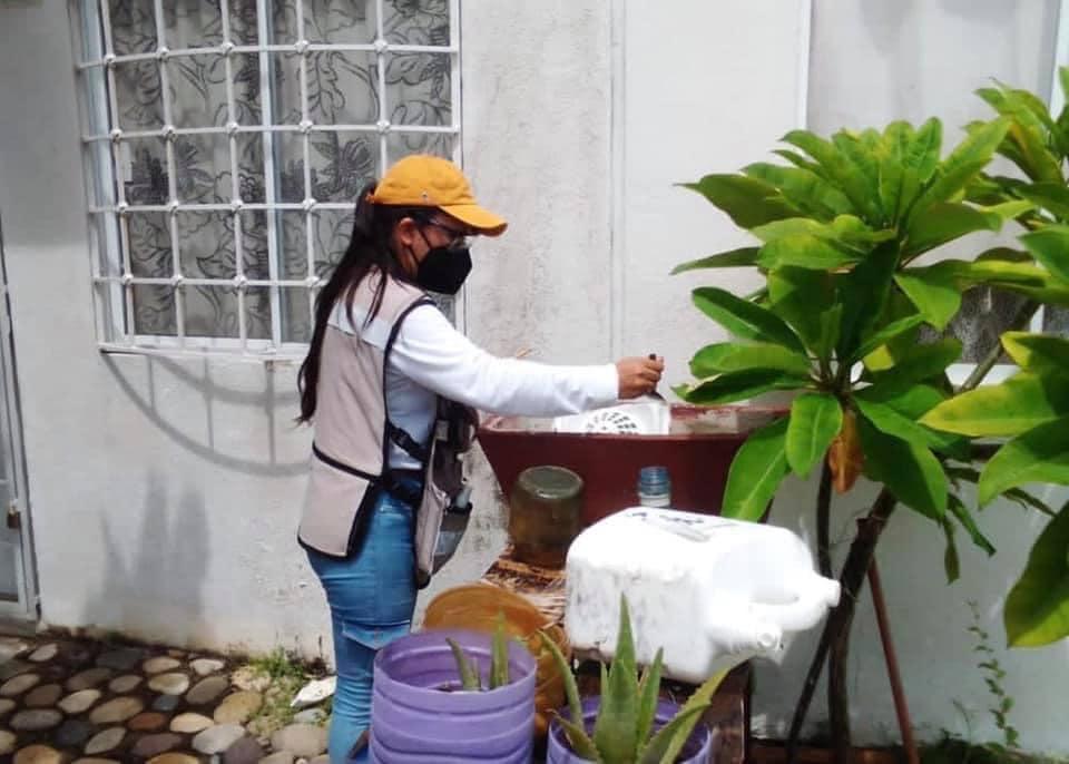 Aumento de Casos de Dengue en Acapulco: Recomendaciones para la Prevención