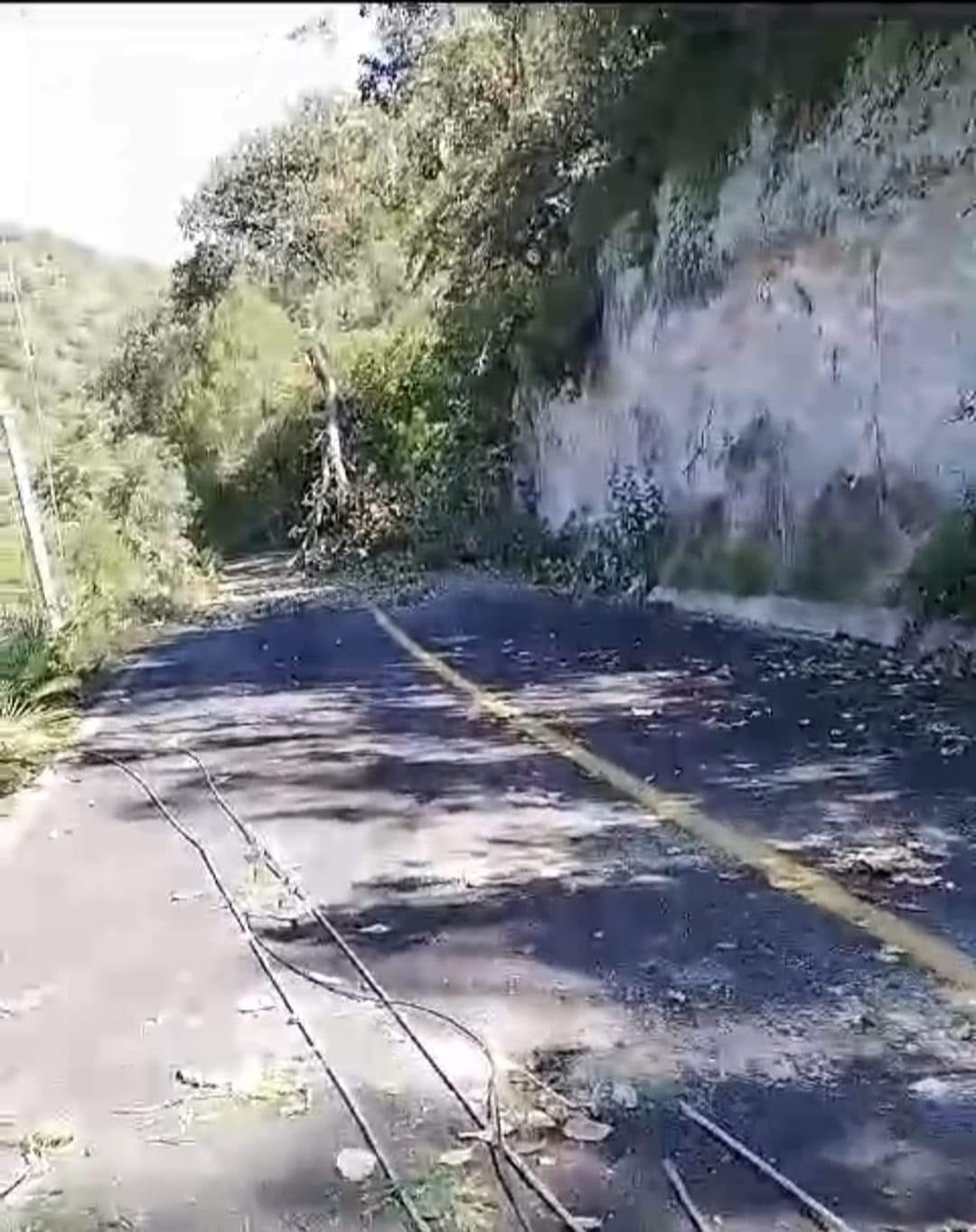 Enfrentamiento armado en Chichihualco desata alerta entre vecinos