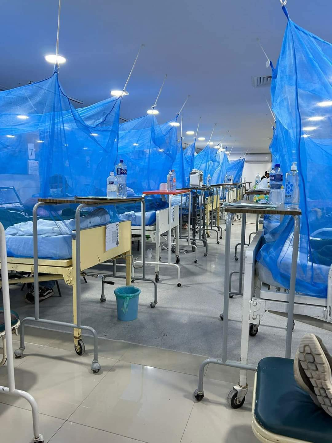 Gobierno Municipal de Acapulco Combate el Dengue con Medidas Preventivas