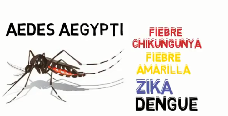 Alerta por grave aumento de dengue hemorrágico en Acapulco y Taxco