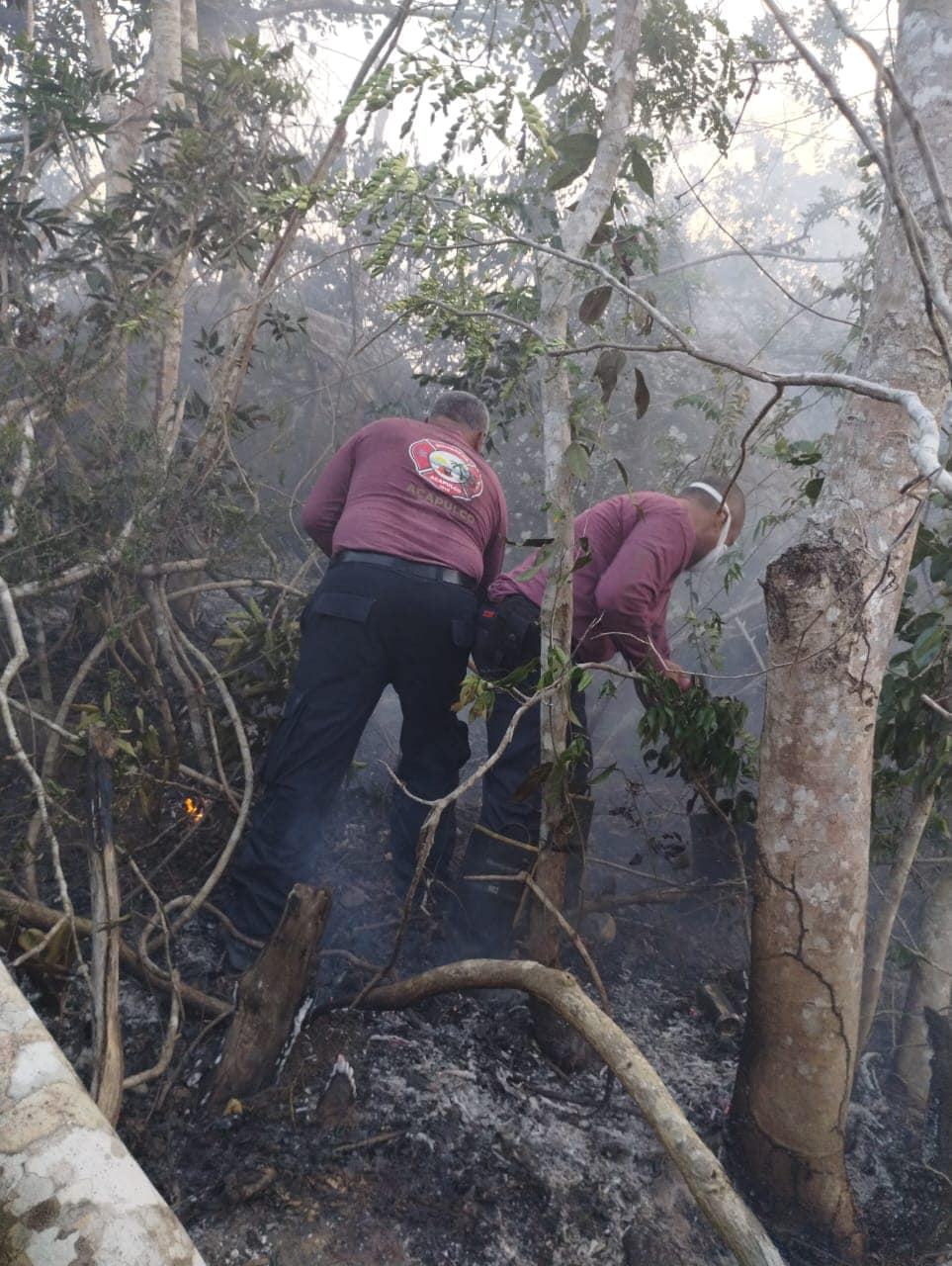 Gobierno de Acapulco combate incendio forestal en la colonia Cumbres de Llano Largo
