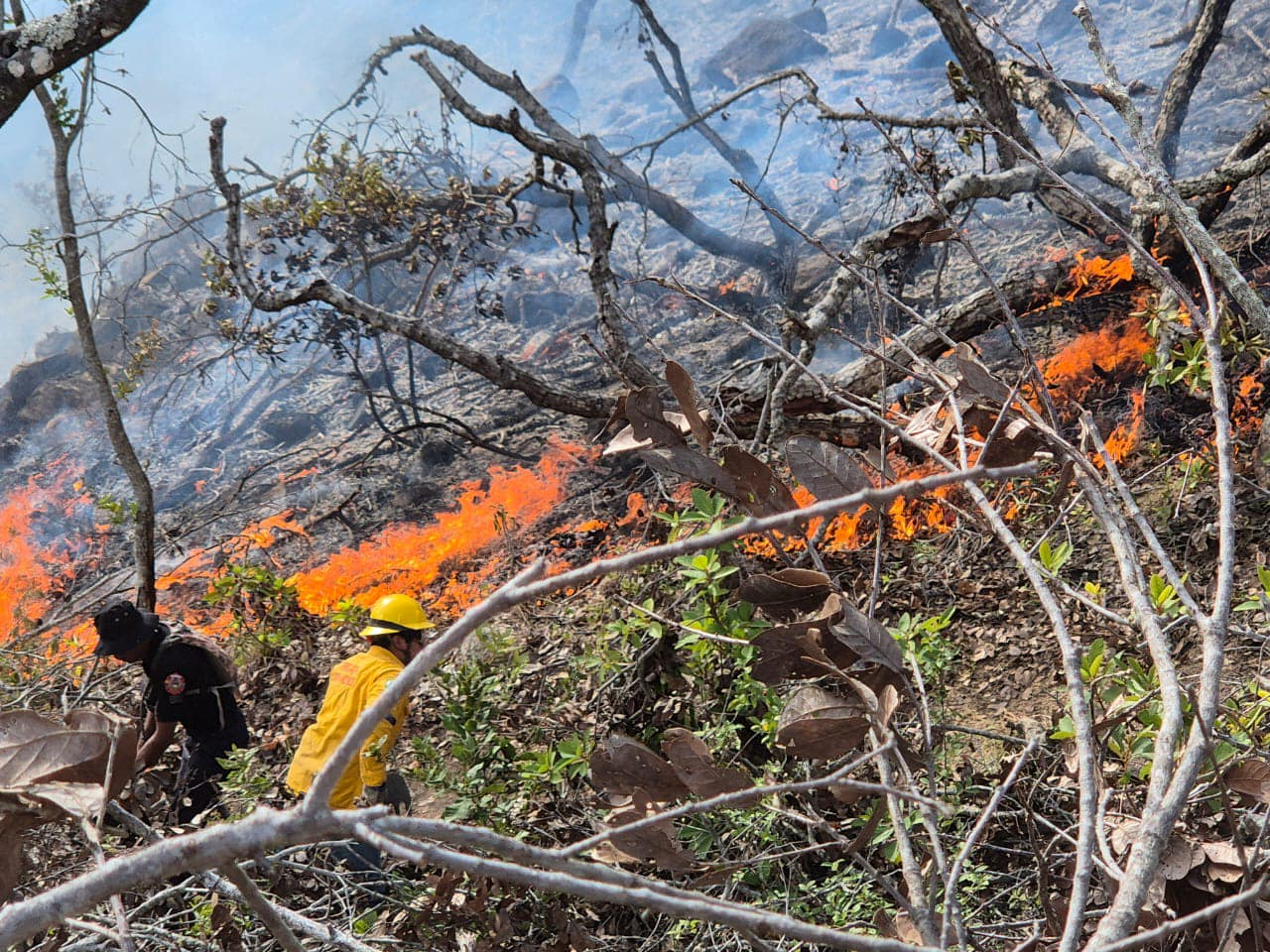 Autoridades de Acapulco combaten incendio en el Parque Nacional «El Veladero»